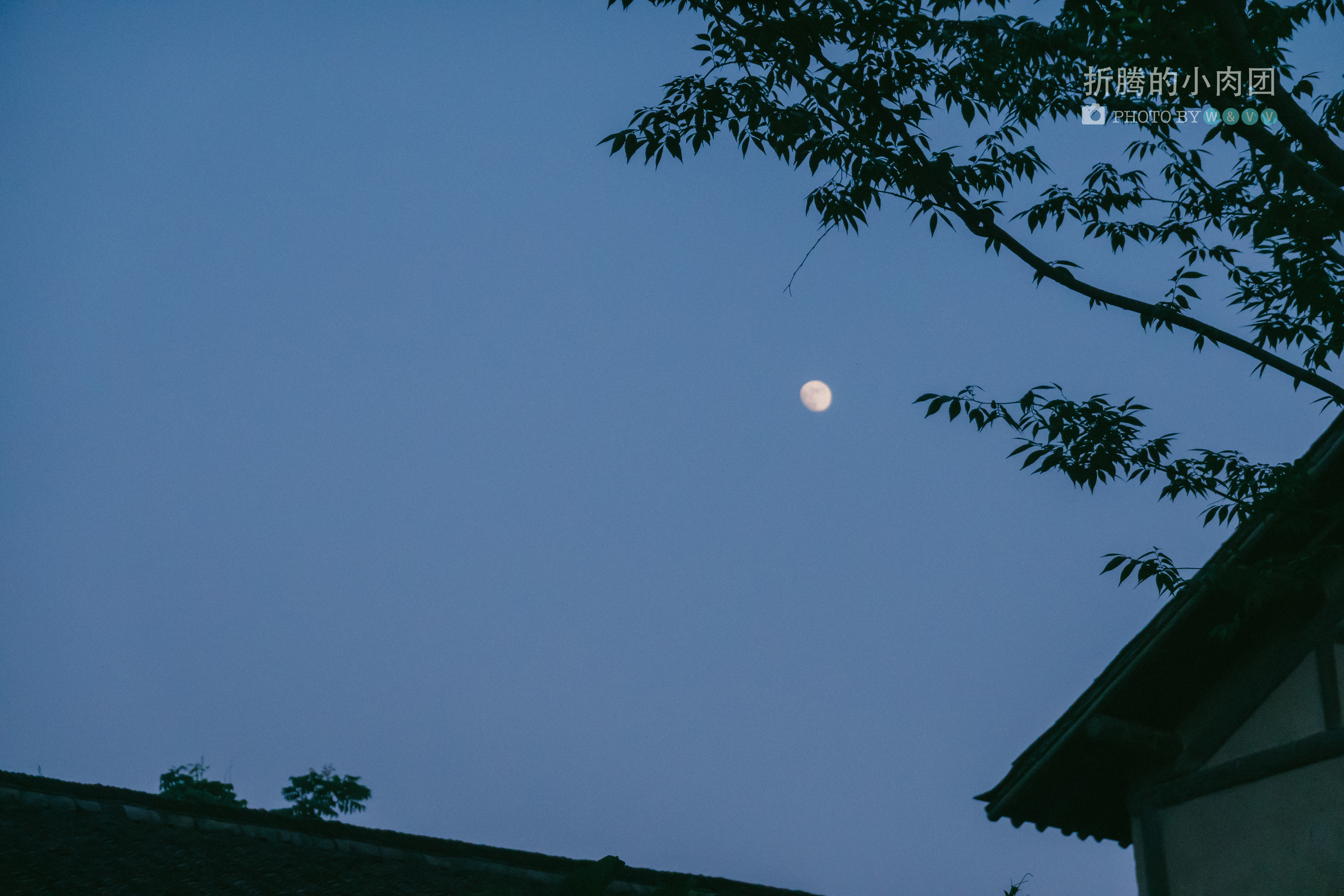 乌村亲子游全攻略,乌村亲子游攻略