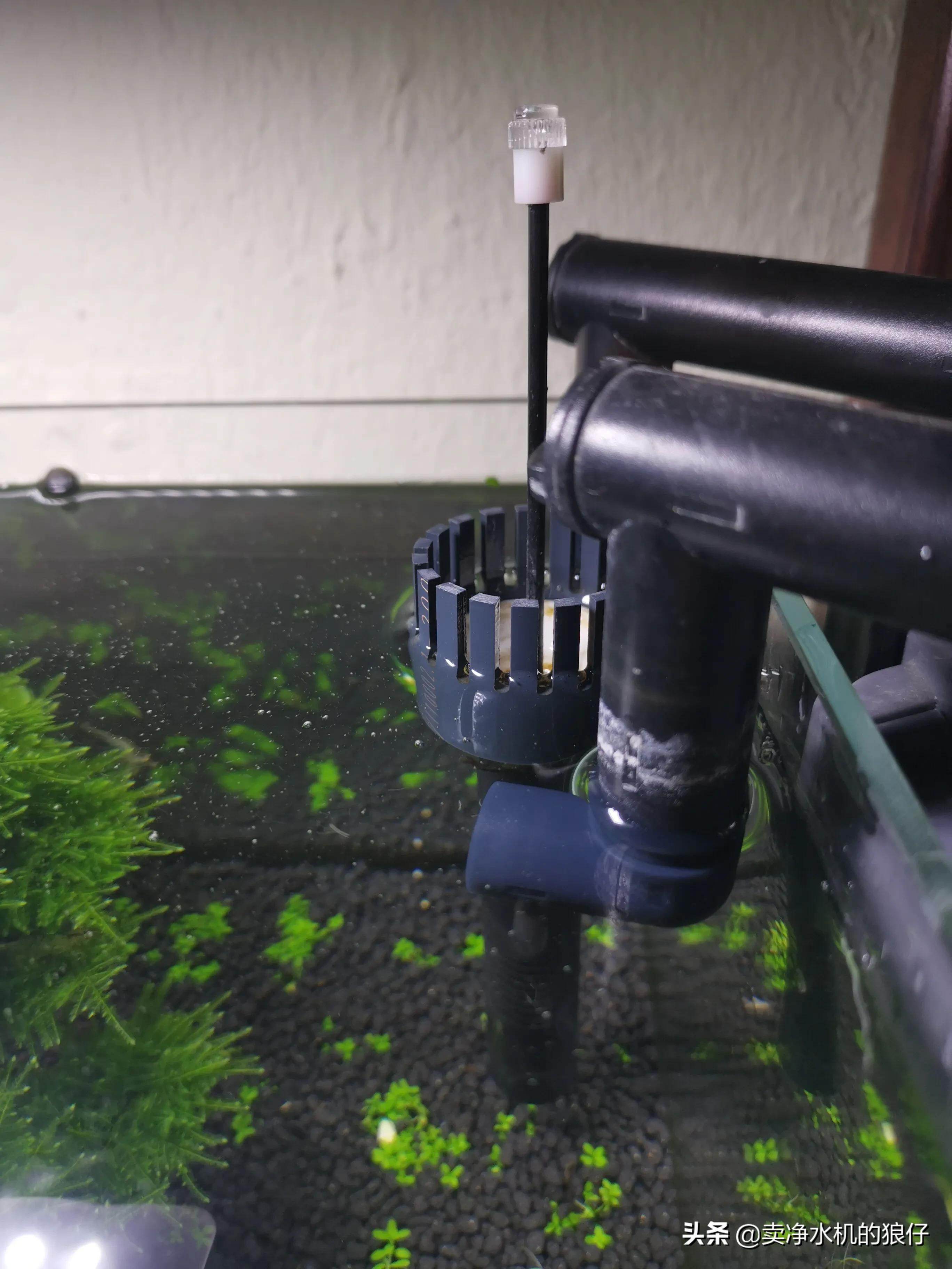 鱼缸过滤器没反应是哪里出现问题,布隆过滤器失效