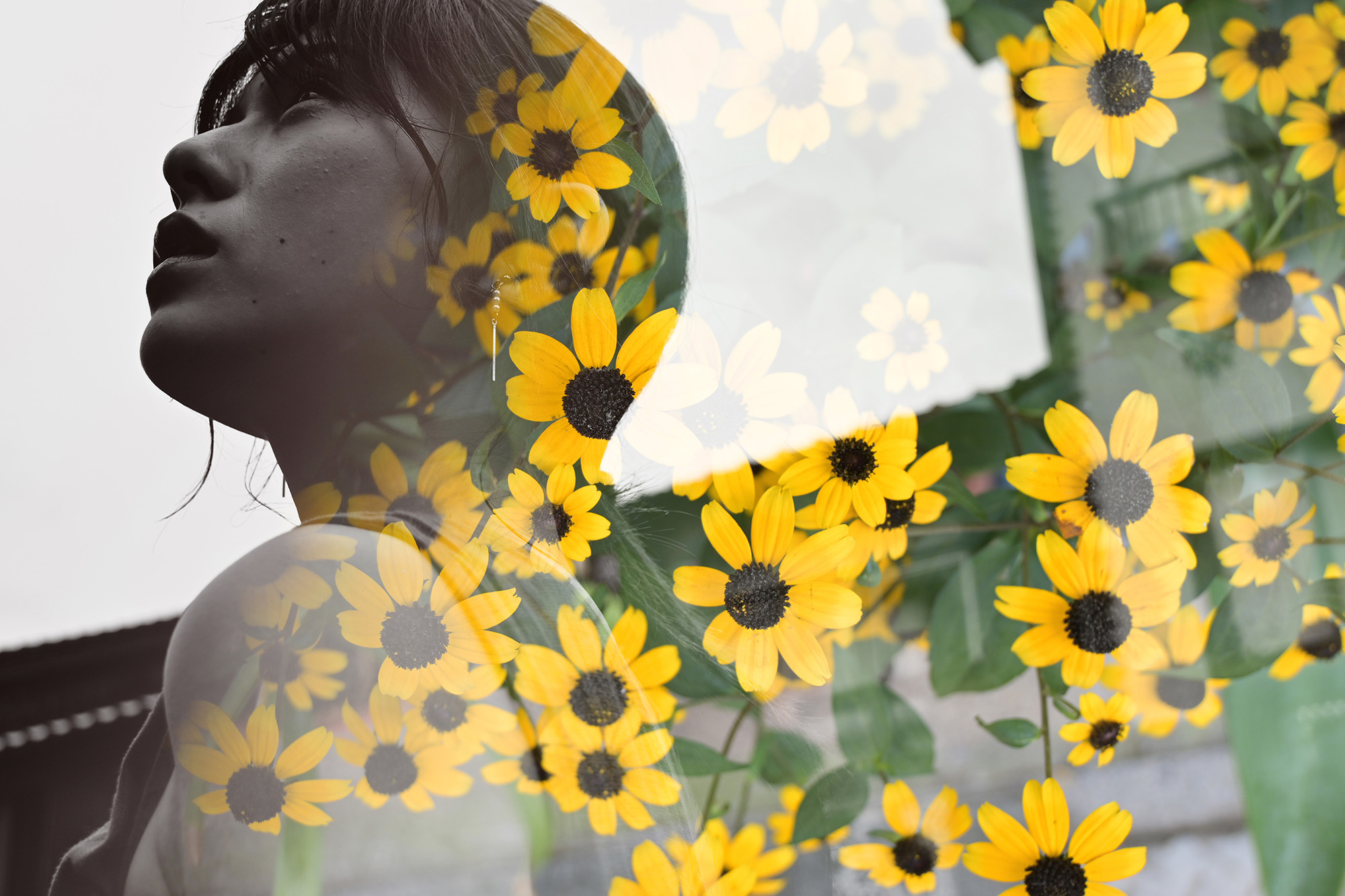 尼康z50到底属于什么档次的相机,2024年尼康z50还值得入手吗