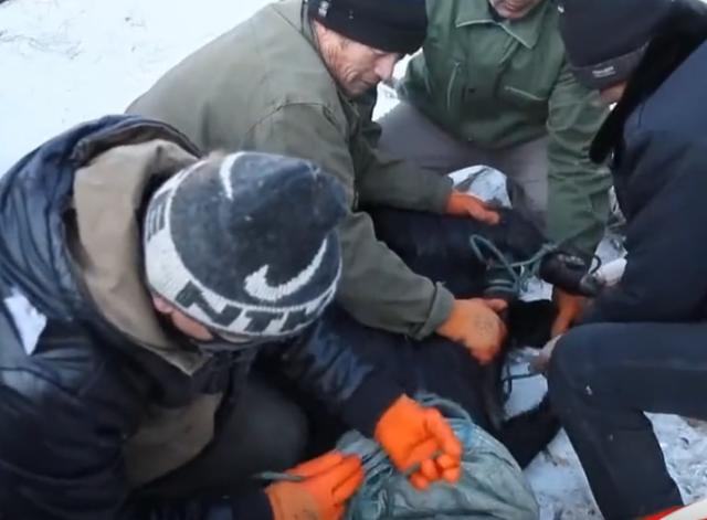 过了腊八就是年,看看东北如何杀年猪吃美食过大年?最浓厚的年味