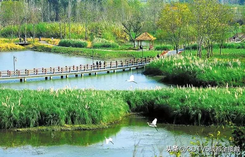 成都新发展理念的公园城市示范区,成都发展新篇章