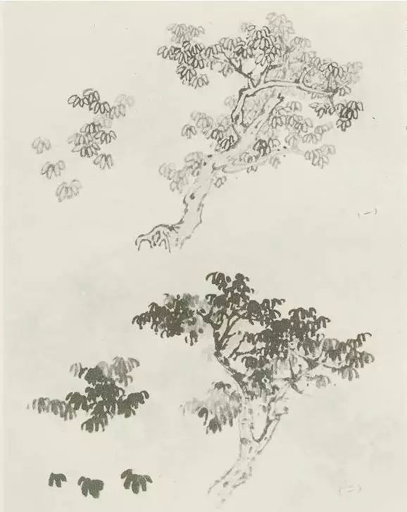 怎样画树画得好看,怎么画树最简单而且还最好看