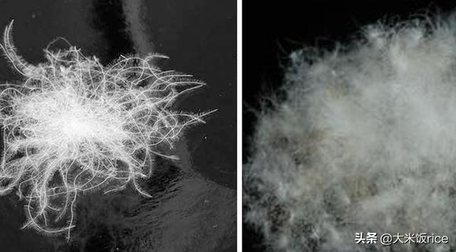 什么样的羽绒服洋气还不过时,拒绝臃肿羽绒服就要这样潮炸天