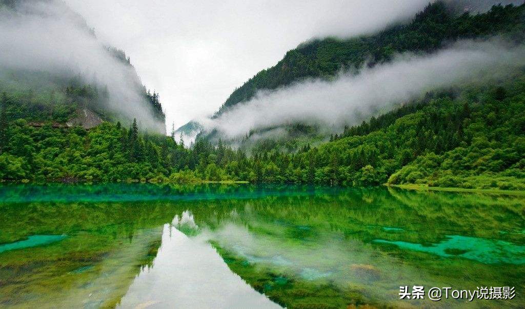 购机推荐：新手挑选单反相机，这些建议你认同吗？