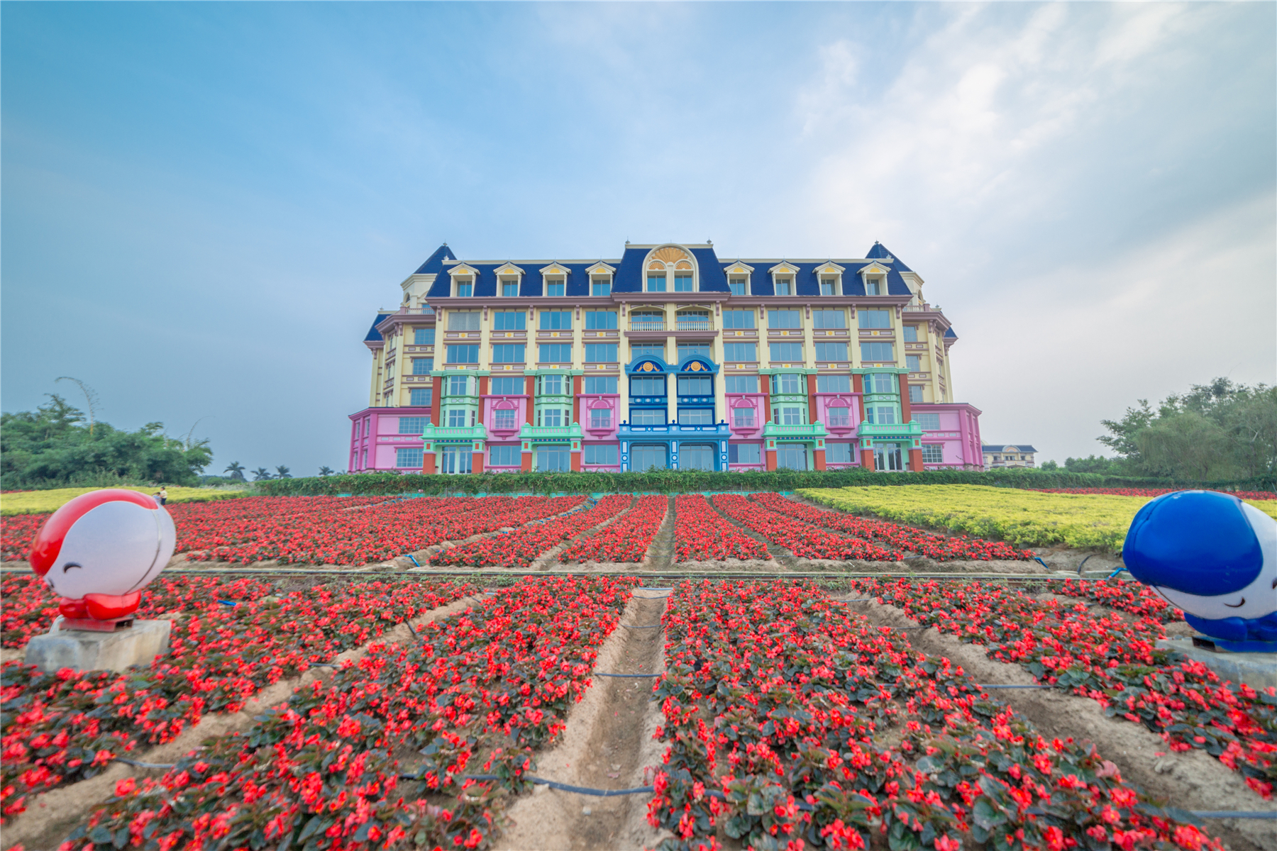 百万葵园攻略地图大全,百万葵园游玩注意事项