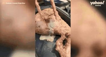 如何买澳洲牛羊肉,澳洲牛羊肉怎么挑选