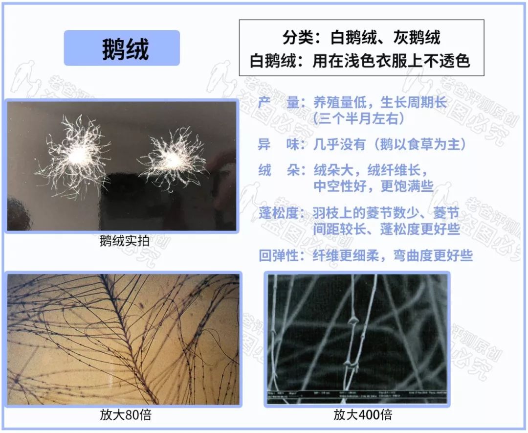 羽绒服价格差别太大怎么选,冬季羽绒服价位稍高一点