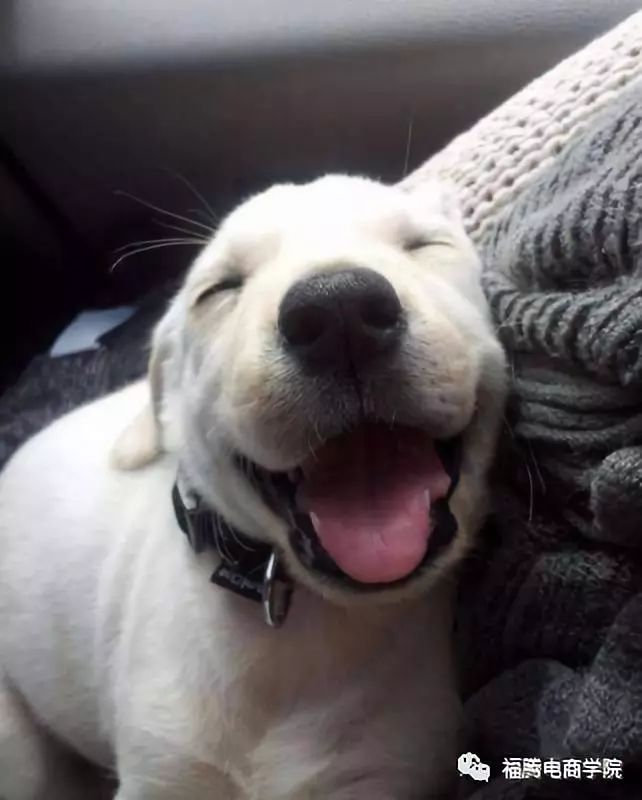 淘宝账号必须用手机号注册吗,可以用邮箱号注册淘宝账号吗