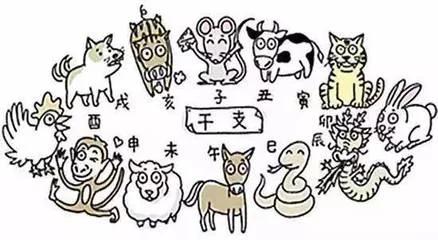 人为什么要分周岁和虚岁,为什么年龄要说虚岁