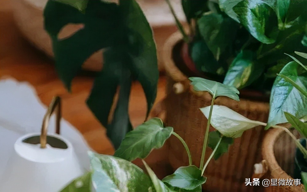 查数据、扒成分、看报告……硬核消费者“肝不动”今年双十一