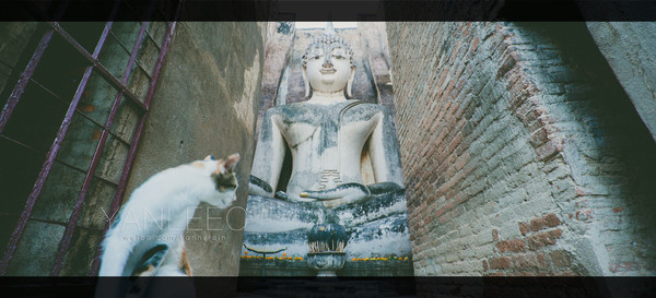 深度玩转泰国攻略,泰国游国际漫游