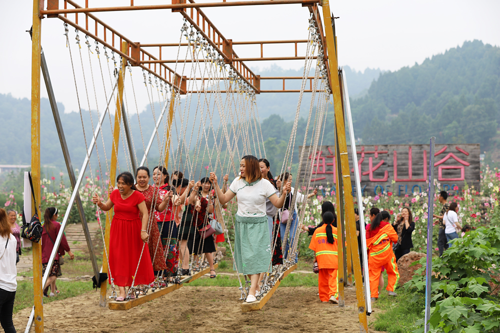 金堂鲜花山谷游记,金堂鲜花山谷蜀葵花盛放