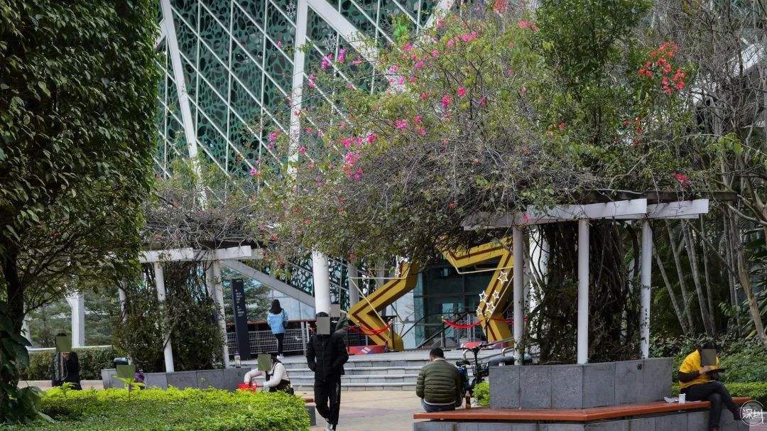 华侨城有钱吗,华侨城的房子适合居住吗