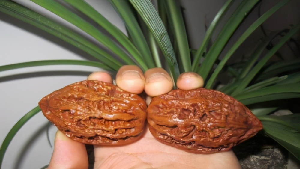 不懂文玩，也可以独立购买的8种文玩，几乎无假货