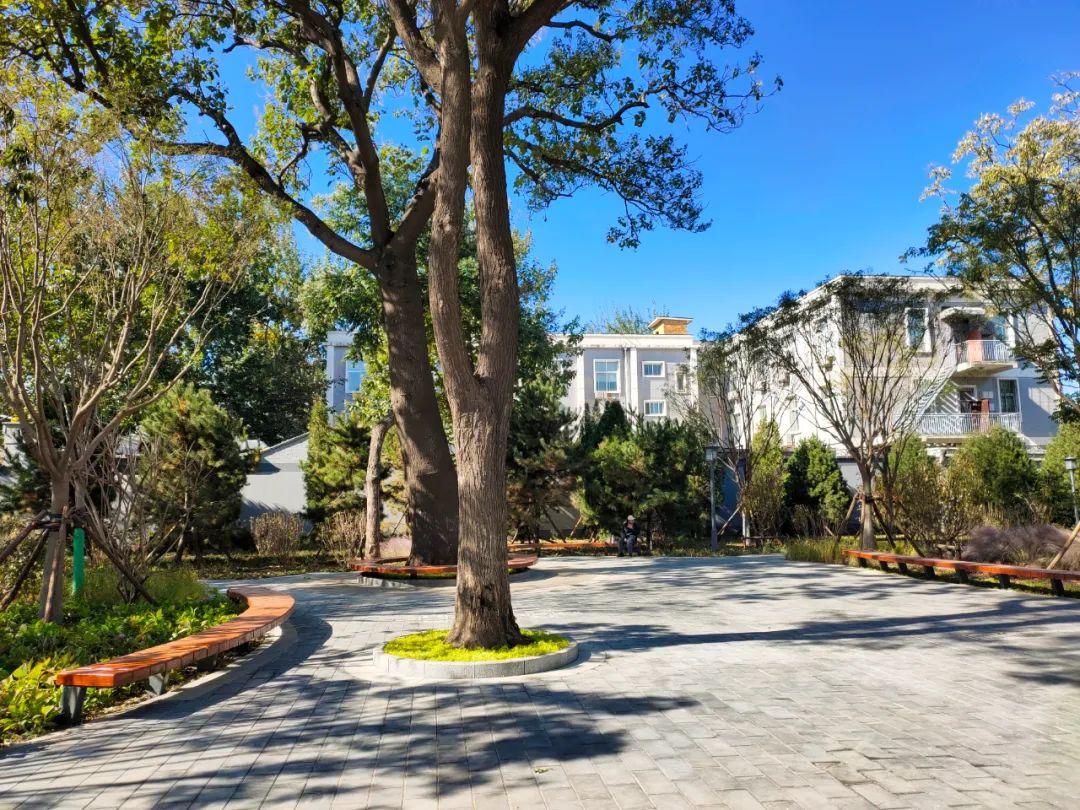 天坛附近公园有哪些,天坛公园周边有什么可逛的