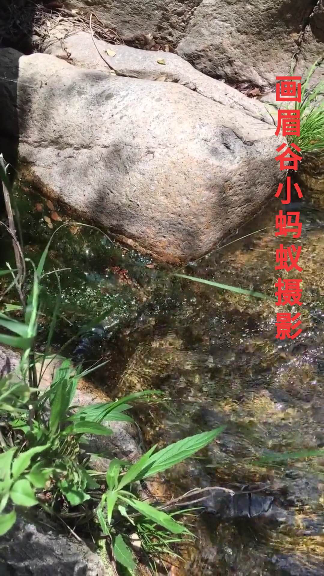 鲁山画眉谷郏县旅游景点推荐,平顶山鲁山风景区旅游攻略