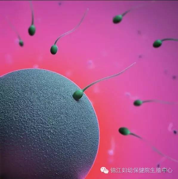 32岁备孕要注意什么,女生备孕应该注意事项