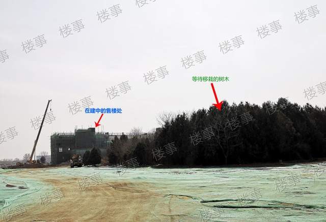 中海望京府正式售楼处,中海望京府实景展示