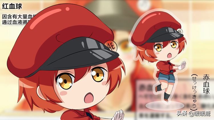 孕妇血常规的血红蛋白、血细胞和血小板代表什么,孕期贫血怎么办