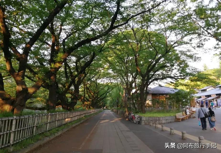 日本名古屋美食介绍,名古屋必吃