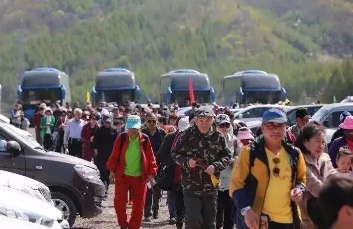 新宾猴石最新消息,新宾满族开山节是哪天