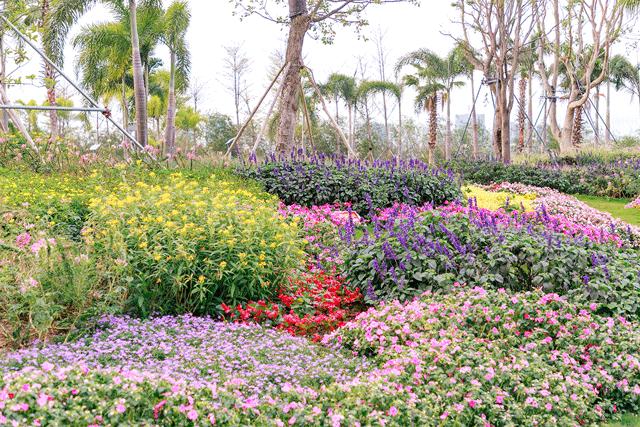 深圳看海去哪里比较好,深圳出地铁就看海的地方是哪里