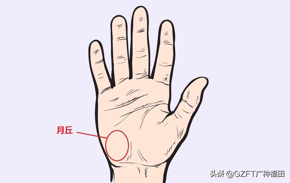 5分钟学会看手相,如何从零开始学会看手相