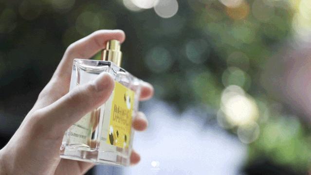 新天地空降一座“隐形”的气味花园，解锁伦敦气味密码