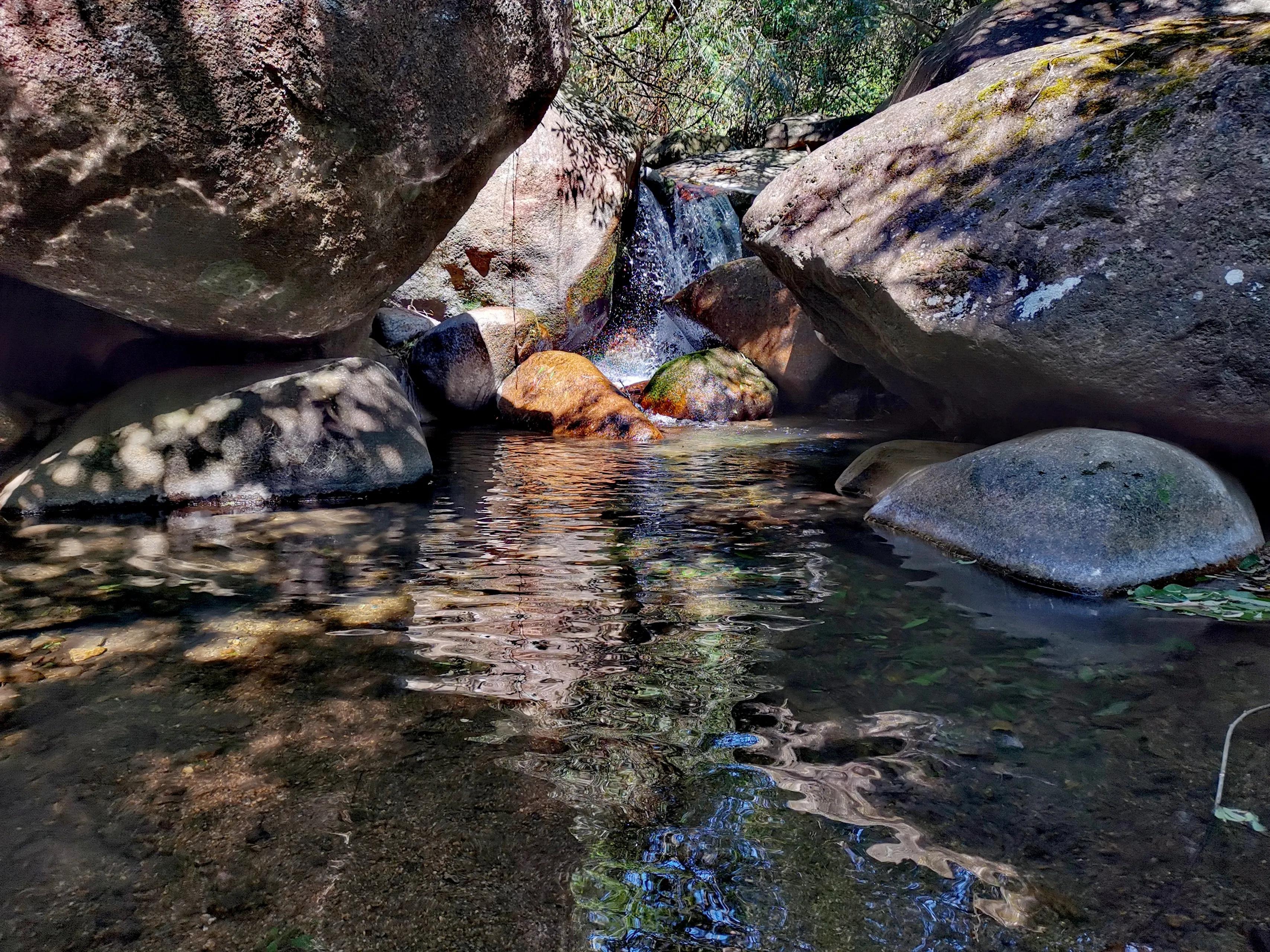 新丰云髻山,新丰云髻山枫叶红了吗