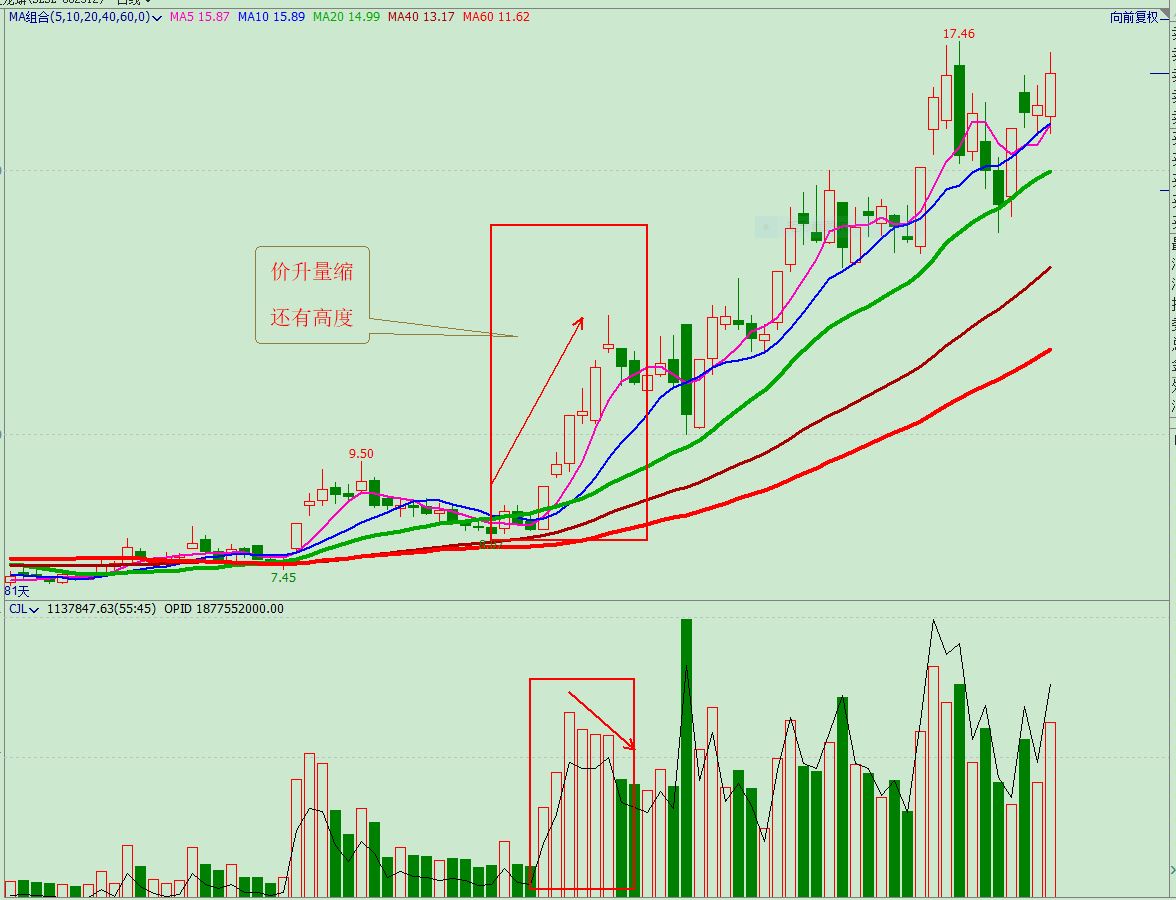 看懂成交量和筹码分布,看懂成交量的秘诀视频