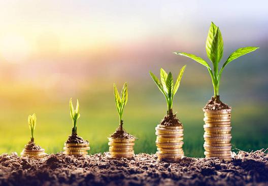 中国创投圈四大高手,国内创投圈4大高手