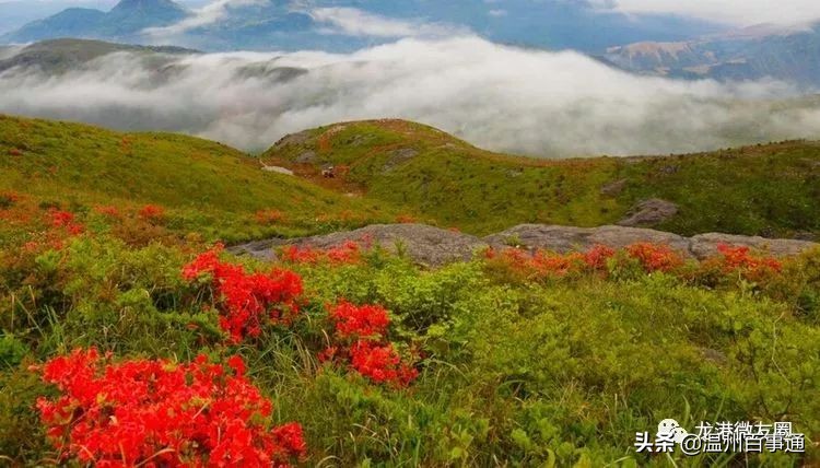 望里确诊病例,望里什么意思