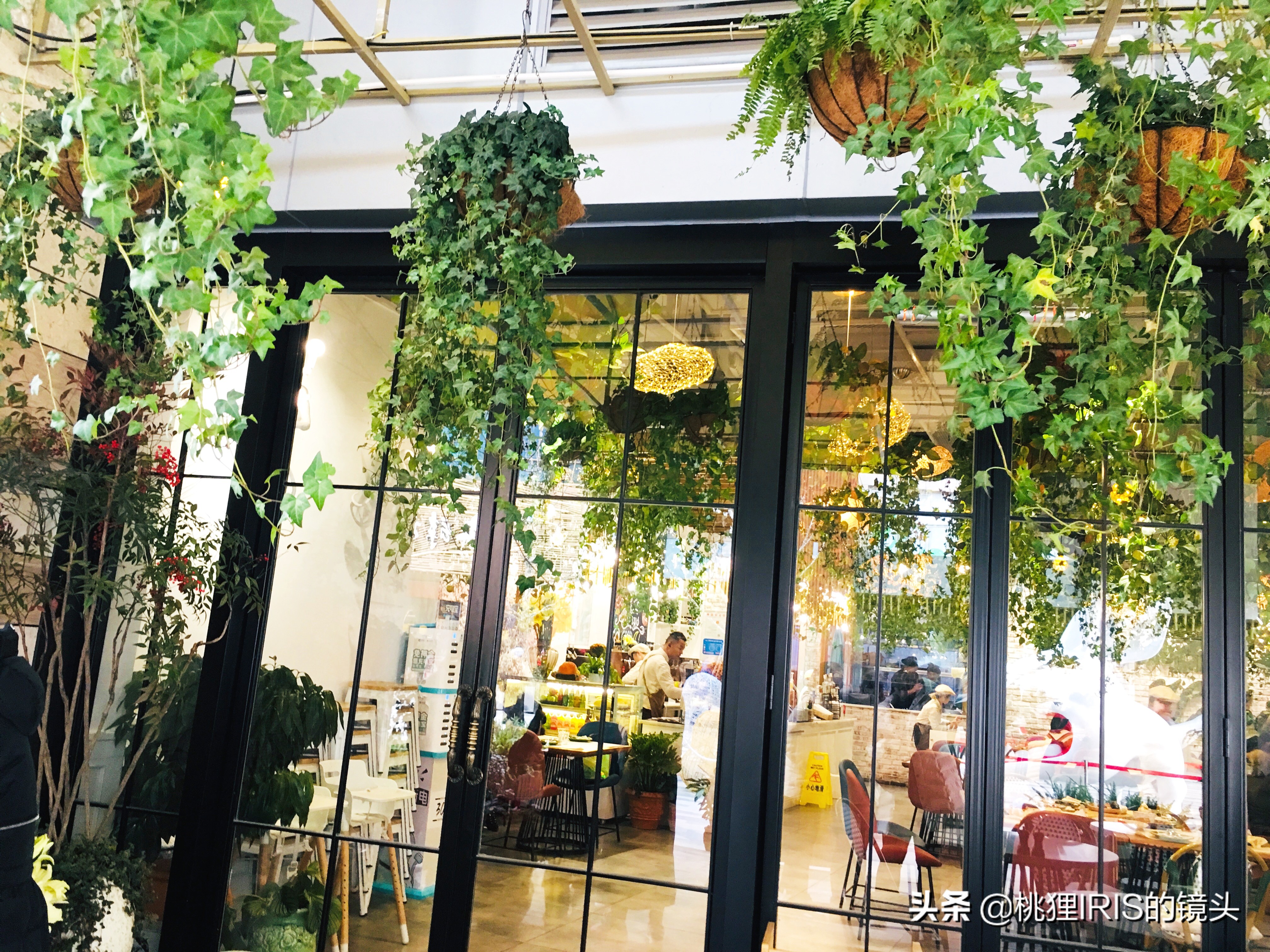 杭州餐厅探店推荐,杭州花园餐厅团购