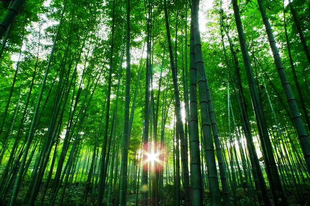 河南秋天十大秋景,河南秋景最美的地方