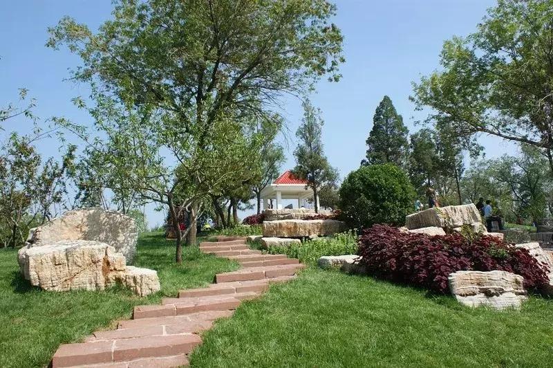 寸土寸金公园,天津值得一去的公园