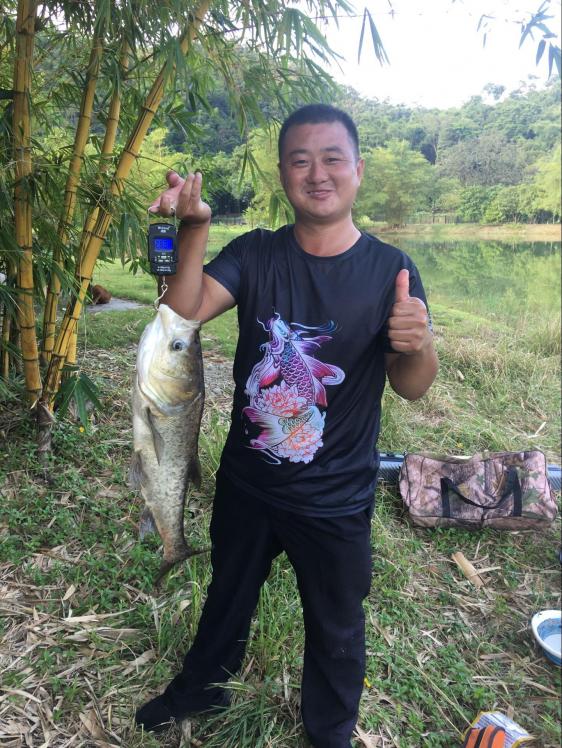 金家潘求败,金迦潘求败和硬弓有什么区别