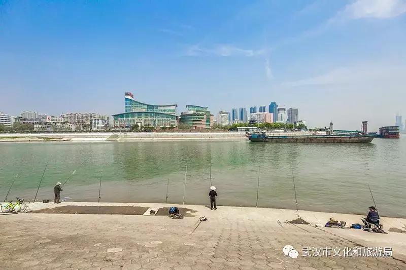 鹦鹉洲长江大桥桥下公园,汉阳鹦鹉洲长江大桥公园