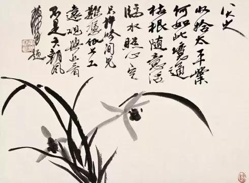 兰花绘画技法教程视频,泰国兰花绘画技法