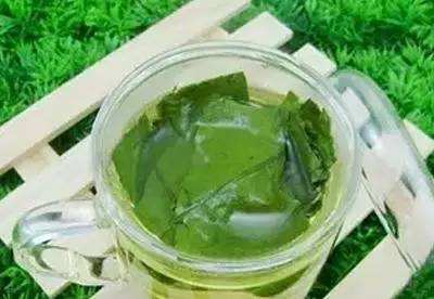 荷叶和哪些东西泡水能减肥减脂,有人说荷叶可以减脂刮油