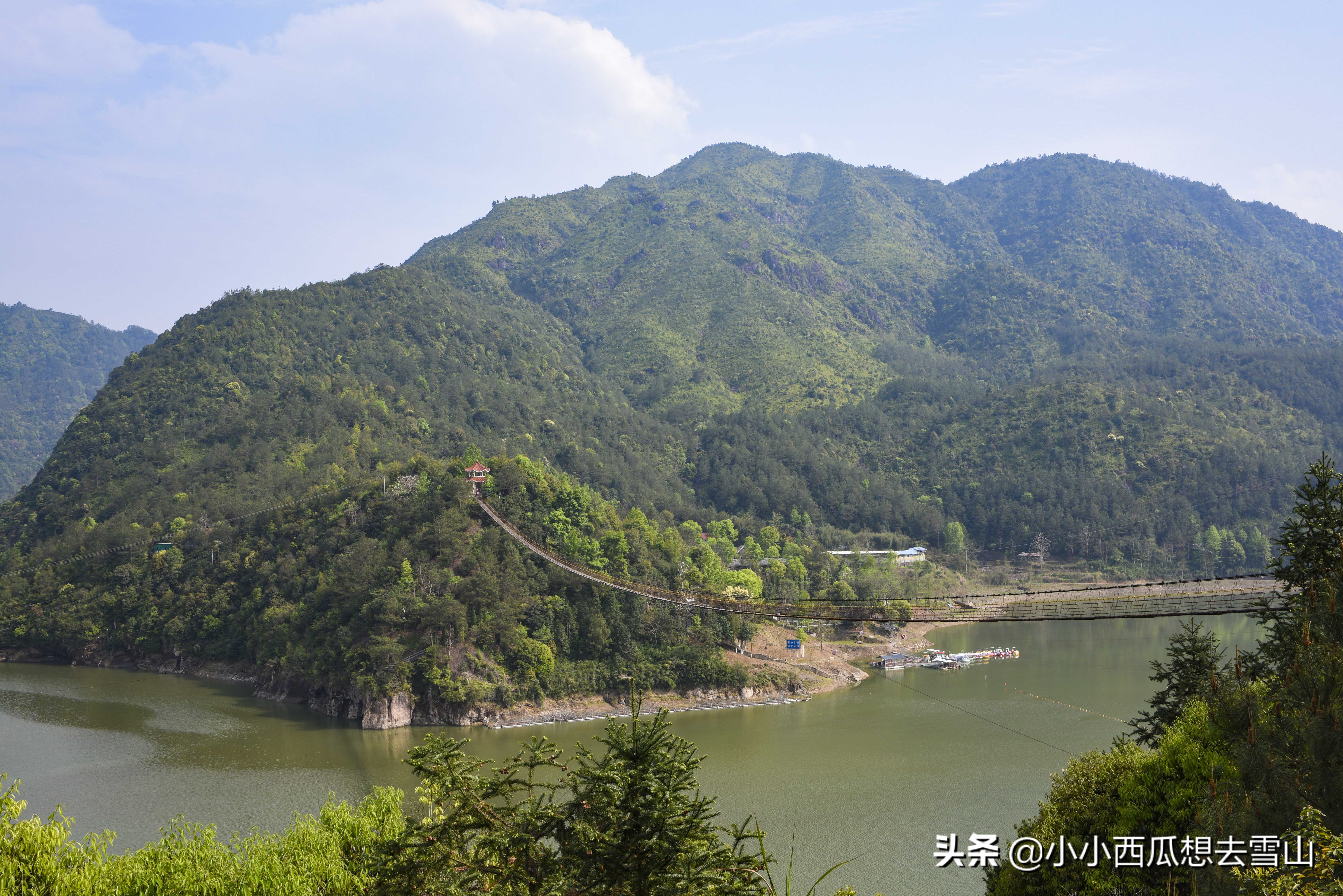 浙南小众宝藏旅行地,浙江温州灵溪铁索桥景点