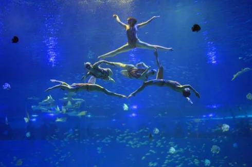 去不了海就去海洋馆,去不了大海就去海底世界