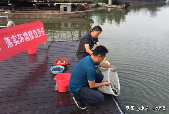 农村这三种行为将被严查,农村哪四种小生意要严查