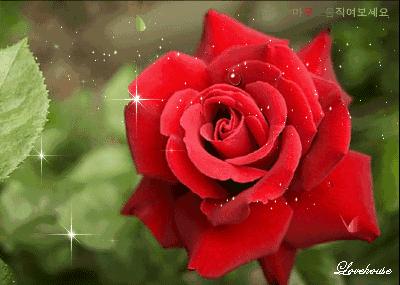 朋友相遇要珍惜愿我们的友谊永久,友谊天长地久且行且珍惜