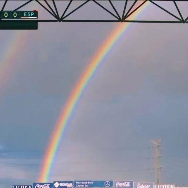 璐濆皵绾冲琚綒涓嬮泦,璐濆皵绾冲琚綒瀹屾暣瑙嗛