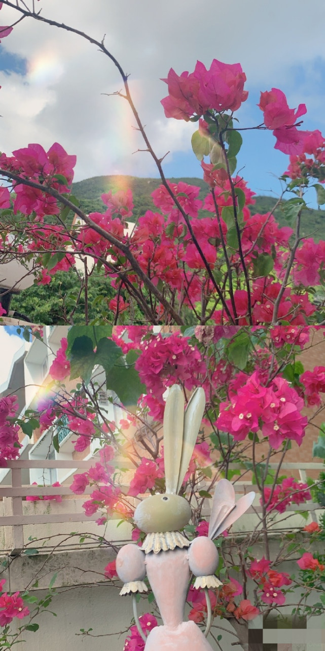 方媛教女儿游泳,方媛晒照分享生活