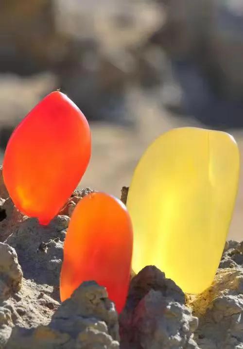 捡石头真的可以发财吗,石头捡到真能发财吗