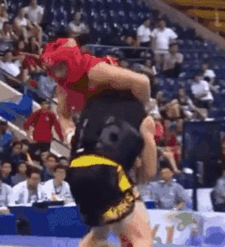 散打核心是什么,散打简短简介