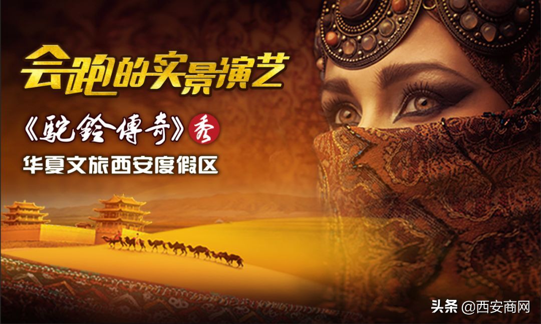 华夏文旅西安60岁以上免票景点,西安华夏文旅有什么玩儿的