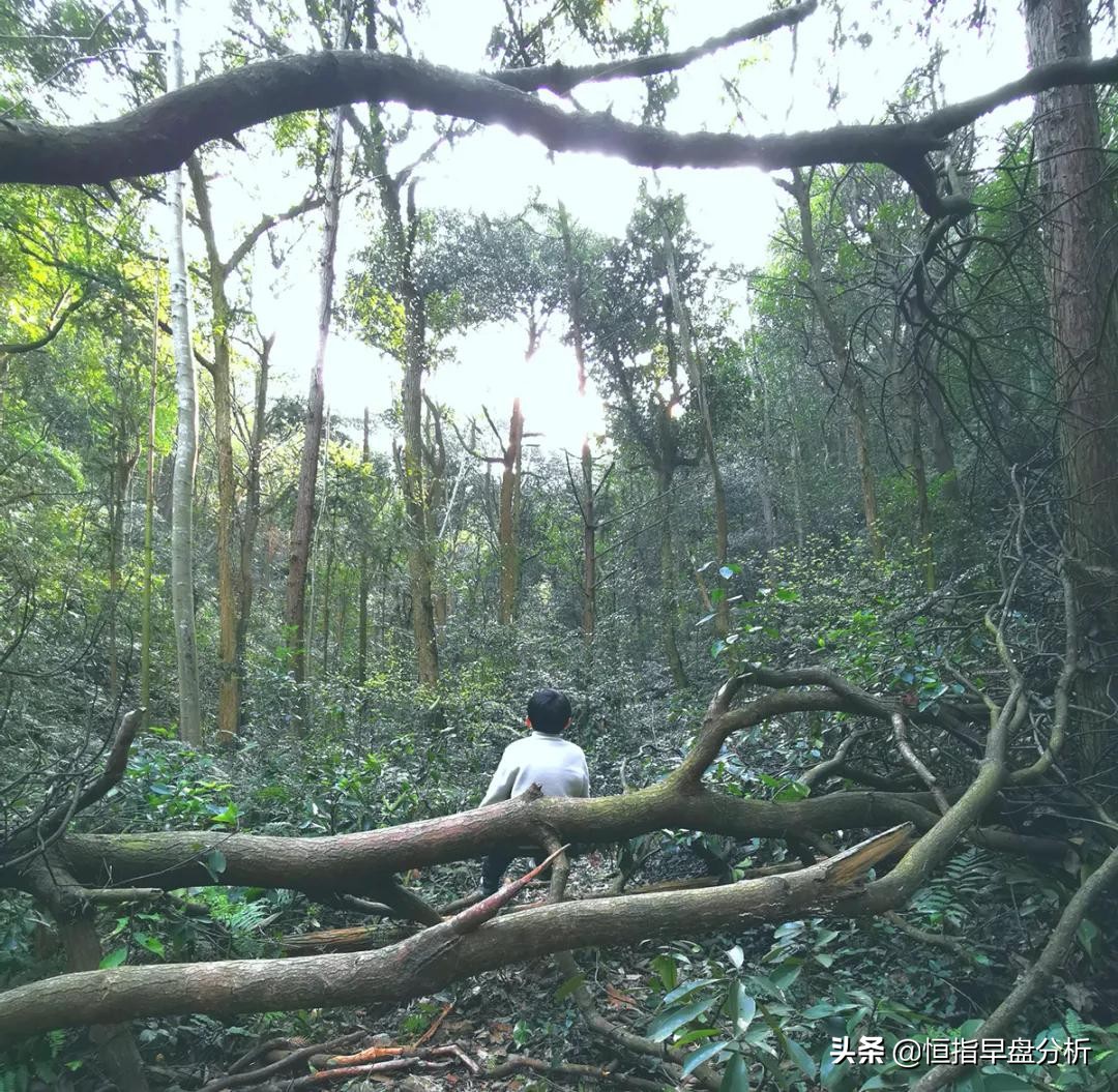 让人豁然开朗的文章,让人恍然大悟的隐喻