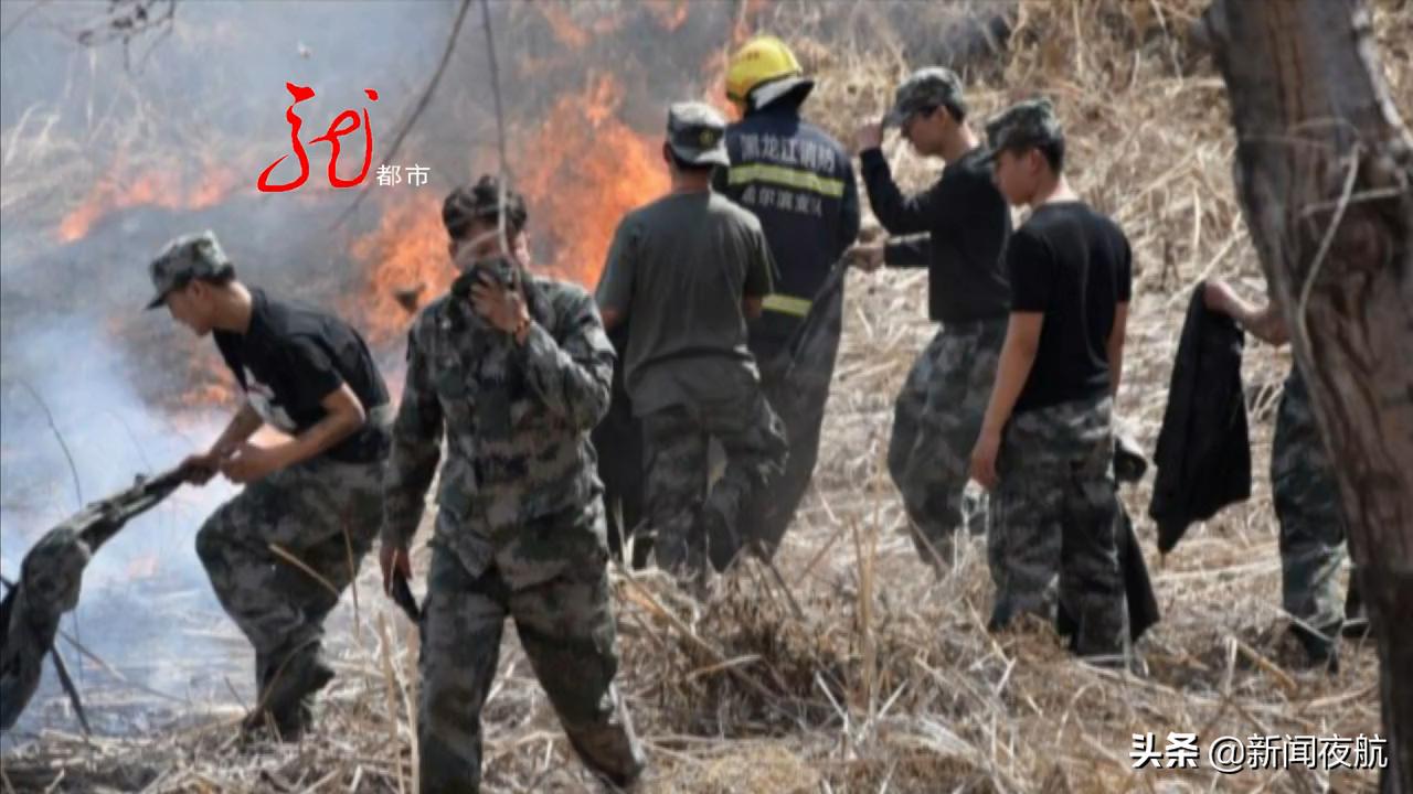 哈尔滨广厦学院民兵连拉练途中遇火灾,春季蔓延迅速勿让悲剧重演